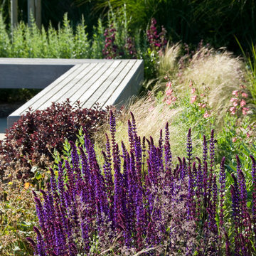 Guernsey Garden
