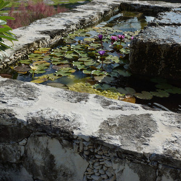 Baker's Bay Garden 2