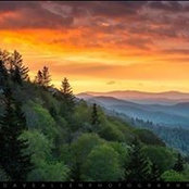 Jacqueline Degan's photo