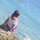 Diana Coman