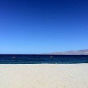 Monica Ruiz-Etchings's photo