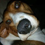 Melissa Fresoni's photo