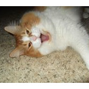 Colleen Fagan's photo