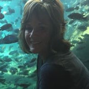Sue Wolfes billede