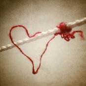 Kathy Munn's photo