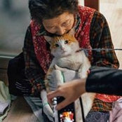 Foto von Trúc Trần