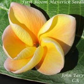 John Tarvin's photo