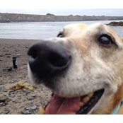 Amy Kanigher's photo