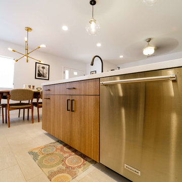 North Park Mid-Century Home Remodel