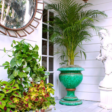 Shine My Houzz Tour