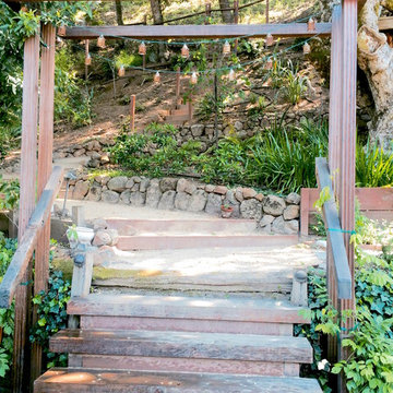Contemporary Landscaping