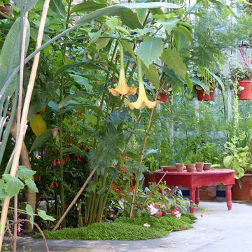 Un oasis en ville