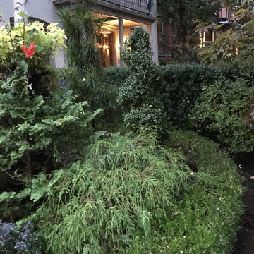 Metcalfe Street 3