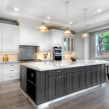 Willow Glen Home~ Booksin Avenue