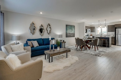 Living room - large country open concept living room idea in Other