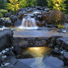 Water Feature