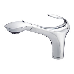 Danze Corsair&trade; Single Handle Pull-Out Kitchen Faucet - Kitchen Faucets