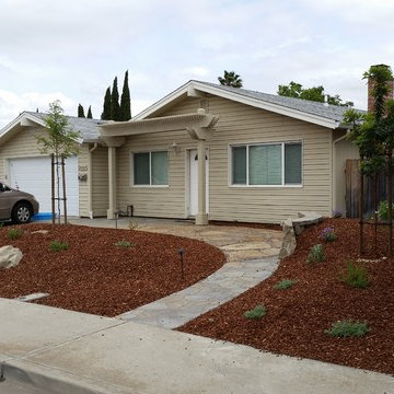 Drought Tolerant