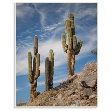 Desert Sentinel Photograph Wall Plaque Art, 10x15
