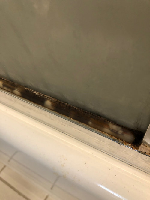Moldy Shower Door