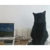 Iulia Haiduc's photo