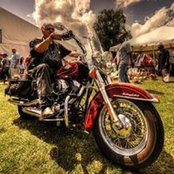 Daniel Rowe's photo