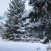 Christina Quist's photo