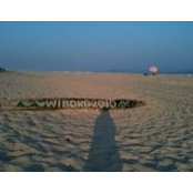 Romy Weinberg's photo
