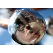 Elizabeth McCarty's photo