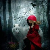 Dorothy Kane's photo