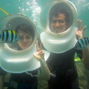 Yudhis Adi Nugroho's photo