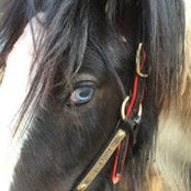 Samantha Goss's photo