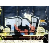 Ryland Henderson's photo