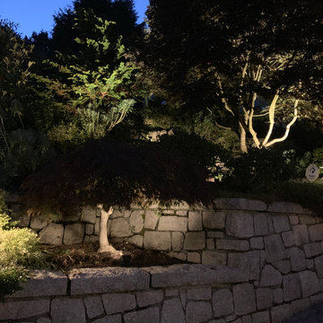 Younette Landscape Lighting Design and Build Front Yard