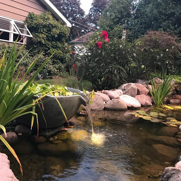 Pond Oasis