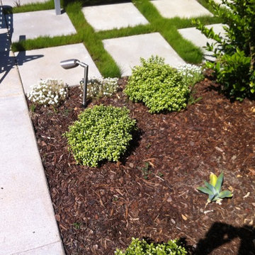 Back yard dry tolerant landscape. garage conversion