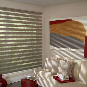 Allure Transitional Shades
