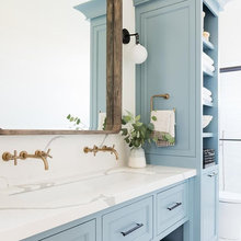 Lower level bathroom