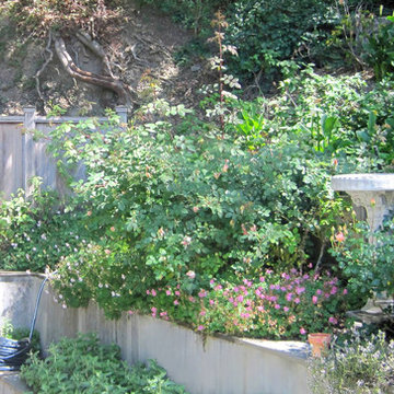 Before and After Gallery - Outdoor Spaces