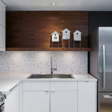Fisher & Paykel
