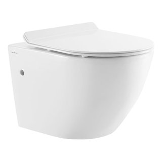 https://st.hzcdn.com/fimgs/1ce1a5e801295e7e_9233-w320-h320-b1-p10--contemporary-toilets.jpg