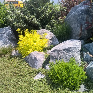 natural pond, Teichlandschaft