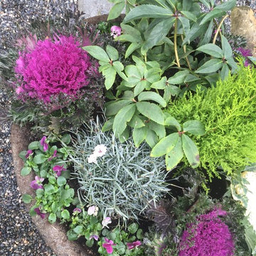 Fall Containers