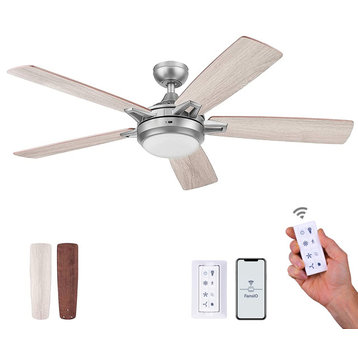 Prominence Home Lorelai Smart Ceiling Fan With Light, Pewter