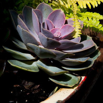 Outdoor Space