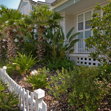 Sea Colony Landscapes