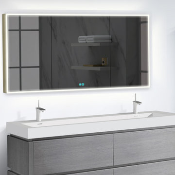 THE VANGUARD LIGHTED MIRRORED CABINET COLLECTION (SURFACE MOUNT)