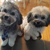 Katrina Pardo's photo