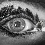 Miranda McCarty's photo
