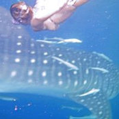 Luana Maggiani's photo